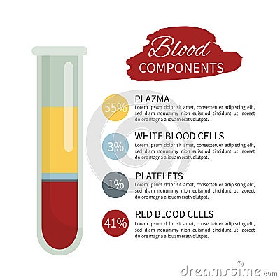 Blood infographic Vector Illustration