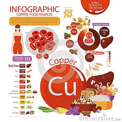 Infographics of the content of copper in natural organic food products Vector Illustration