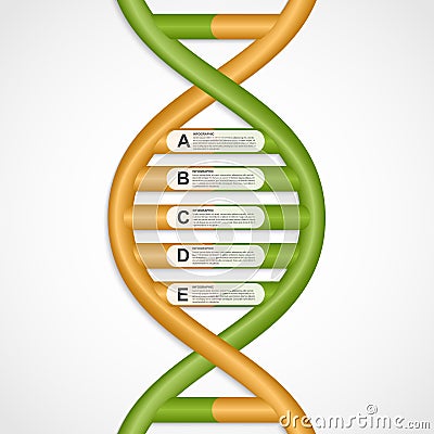 Infographics in the DNA helix form. Vector Illustration