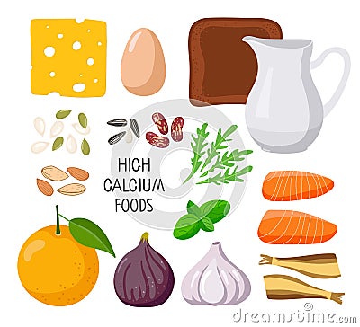 Infographics High calcium foods. Healthy lifestyle. Influence on the bone and neuromuscular system. Set of foods rich Vector Illustration