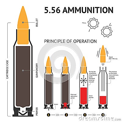 Infographics about the principle of bullet operation. Vector Vector Illustration