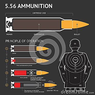 Infographics about the principle of bullet operation. Vector Vector Illustration