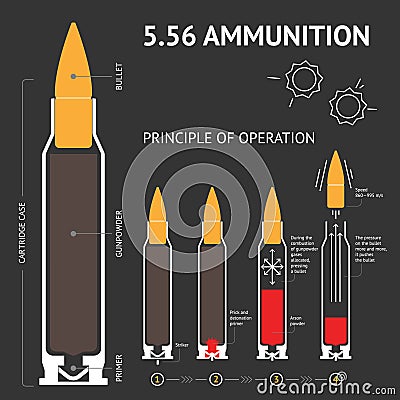 Infographics about the principle of bullet operation. Vector Vector Illustration