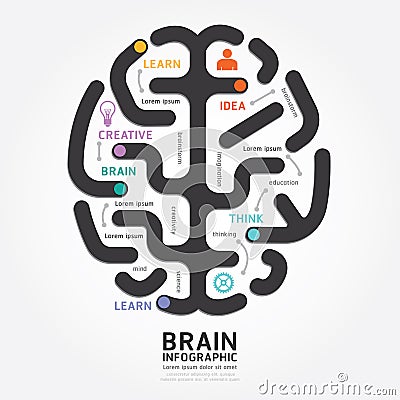 Infographics vector brain design diagram line style. Vector Illustration