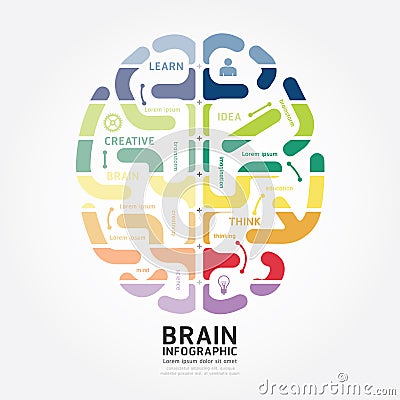 Infographics vector brain design diagram line style template Vector Illustration