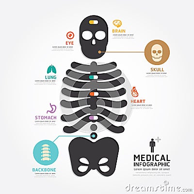 Infographics vector medical skull bone design diagram line style Vector Illustration