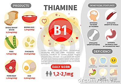 Infographics Vitamin B1. Vector Illustration