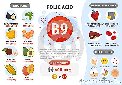 Infographics Vitamin B9. Vector Illustration