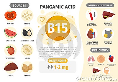 Infographics Vitamin B15. Vector Illustration