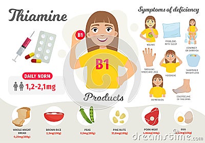 Infographics Vitamin B 1. Vector Illustration