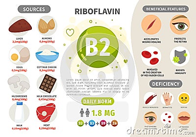 Infographics Vitamin B2. Vector Illustration