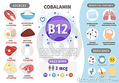 Infographics Vitamin B12. Vector Illustration