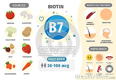 Infographics Vitamin B7. Vector Illustration