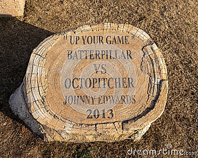Information for `Up Your Game: Octopitcher vs. Batterpillar` by Johnny Edwards at Community Park in Wylie, Texas. Editorial Stock Photo