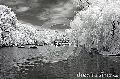 Infrared image of the Central Park Stock Photo