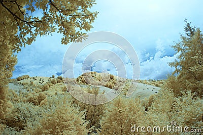 Infrared landscape and details Stock Photo