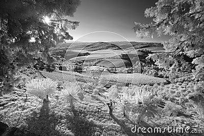 Infrared landscape of Tuscany Stock Photo