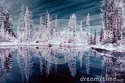 Infrared trees reflecting in a mountain pond Stock Photo