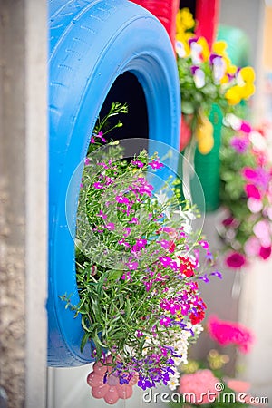 Ingenious, original and environmentally friendly method of recycling of tires car as planters, detail of the blue one Stock Photo
