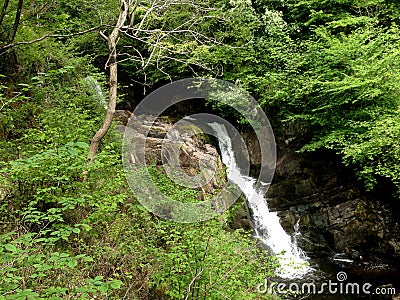 Ingleton Waterfall Stream Stock Photo