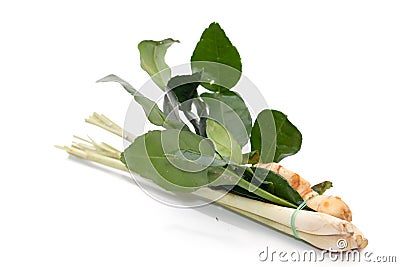 Ingredient for Tom yum ginger,Galangal,lemon grass,KAF Stock Photo