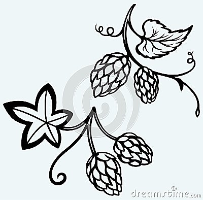 Ingredients for beer. Hops Vector Illustration