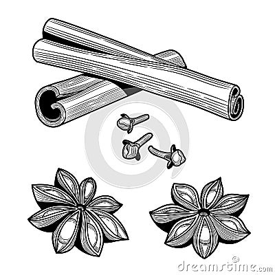 Ingredients. Cinnamon sticks, anise, cloves. Isolated on white background. Vector Illustration