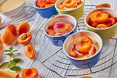 Ingredients for french dessert apricot clafoutis Stock Photo