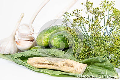 Ingredients for making brined pickles Stock Photo