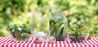 Ingredients for the preservation of cucumbers Stock Photo