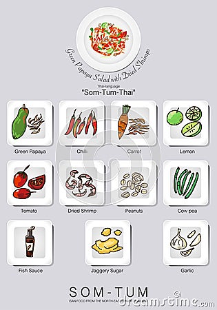 Ingredients set of papaya salad Vector Illustration