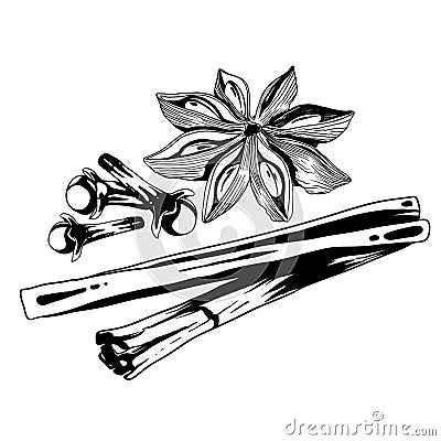 Ingredients of stars anise, cloves and cinnamon vector black and white Vector Illustration