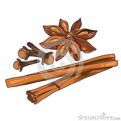 Ingredients of stars anise, cloves and cinnamon vector isolated white background Vector Illustration