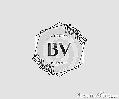 Initial BV feminine logo. Usable for Nature, Salon, Spa, Cosmetic and Beauty Logos. Flat Vector Logo Design Template Element Vector Illustration