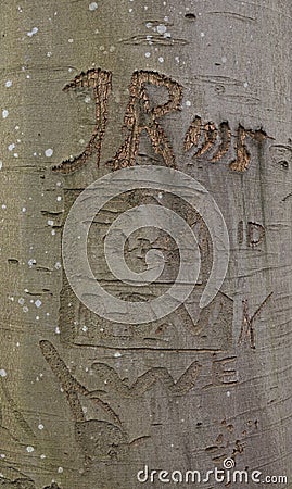 Initials carved in bark of tree Stock Photo