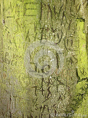 Initials Memory Carving in Green Bark on Old Tree Stock Photo