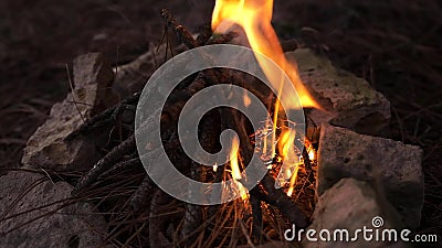 Iniziare fuoco di campeggio al campo nella foresta che fa falò, processo bruciante Priorità bassa della natura r cozy video d archivio Iniziare fuoco di campeggio al campo nella foresta che fa falò, processo bruciante Priorità bassa della natura r cozy video d archivio