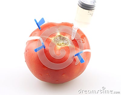 The injection of tomatoes Stock Photo