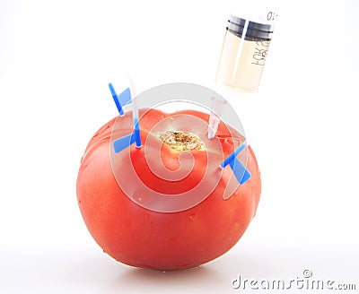 The injection of tomatoes Stock Photo