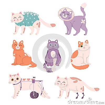 Injured Cats Illustrations. Cat after surgery, amputation, without eye, cat with prosthetic. Vector illustration in flat Cartoon Illustration