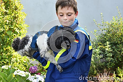 Injured dog Stock Photo