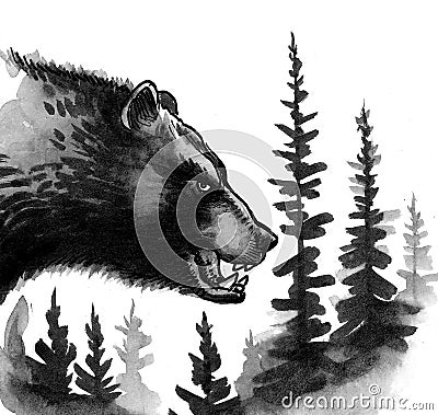 Angry grizzly bear Stock Photo