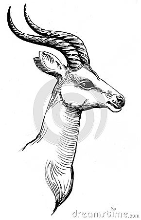 Beautiful antilope Cartoon Illustration