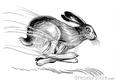 Running hare Cartoon Illustration