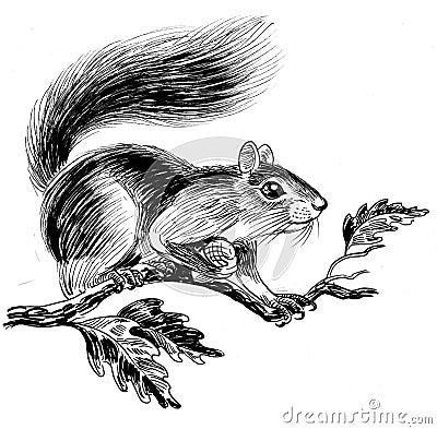 Squirrel on oak tree Cartoon Illustration