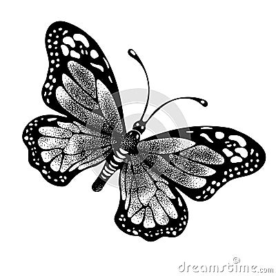 Ink butterfly hand drawing, doodle insect sketch, monochrome, print, tattoo. Painted in black inky graphic butterfly spread wings Vector Illustration