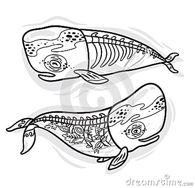 Floral anatomy whales in outline. Vector illustration Vector Illustration