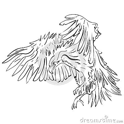 Ink crow Black Raven illustration. Vector Illustration