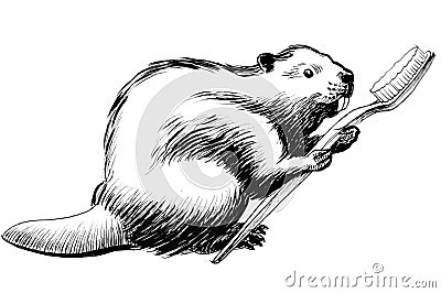 Beaver with a toothbrush Stock Photo