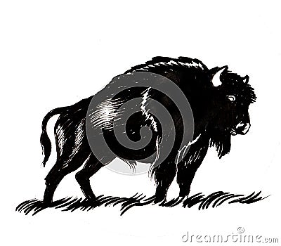 Black bison Stock Photo